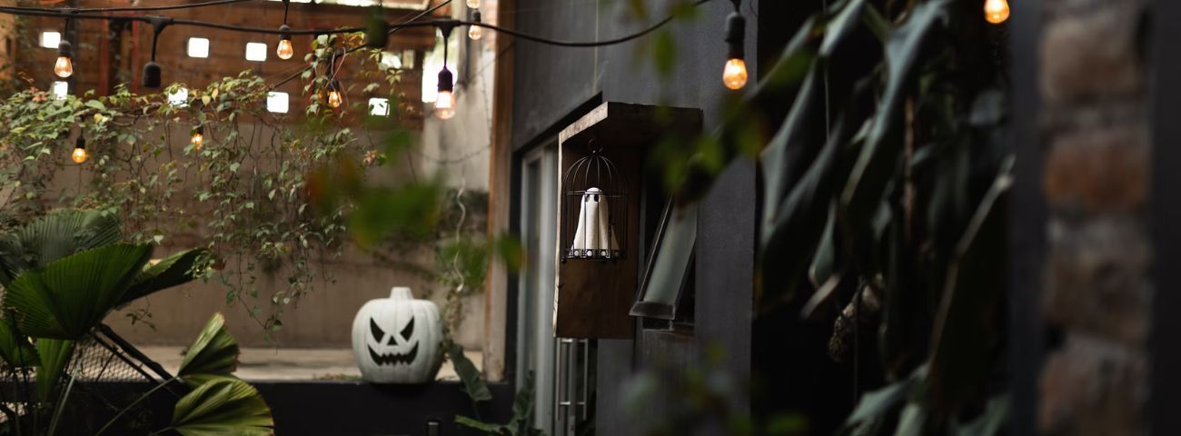 Photo - animations d'automne