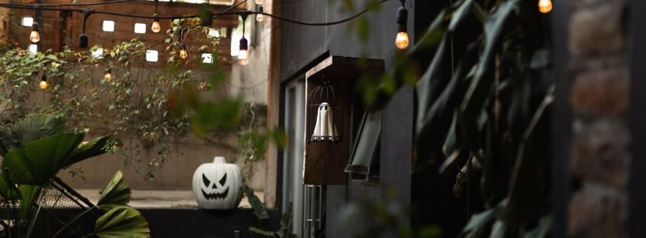 Photo - animations d'automne