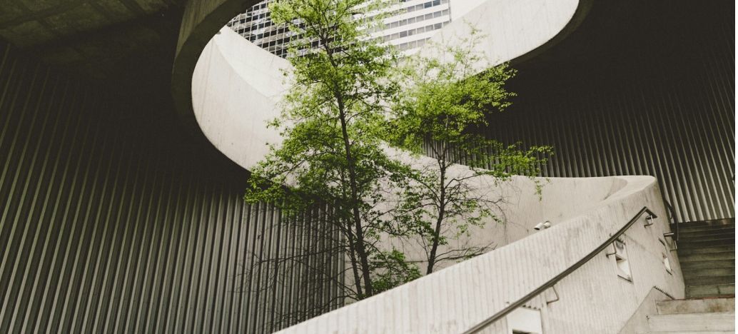 Arbre dans un escalier extérieur