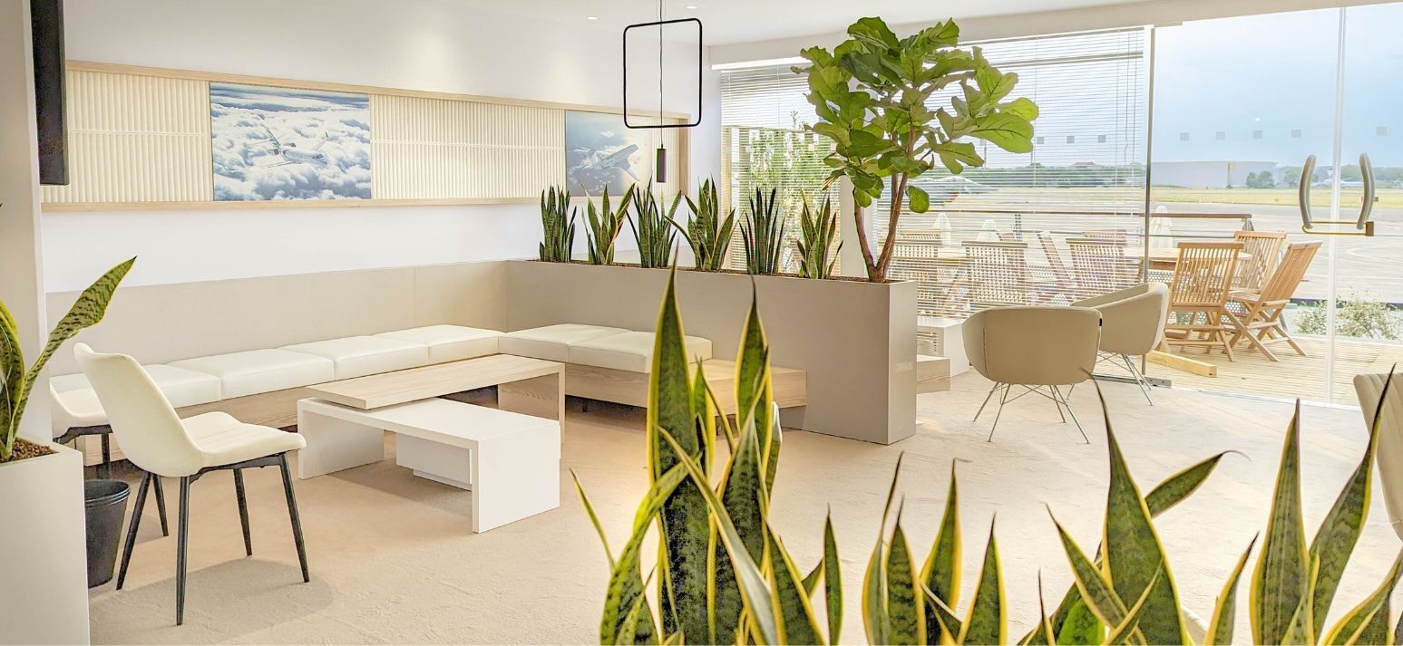 Végétaliser ses bureaux avec Captain Vegetal