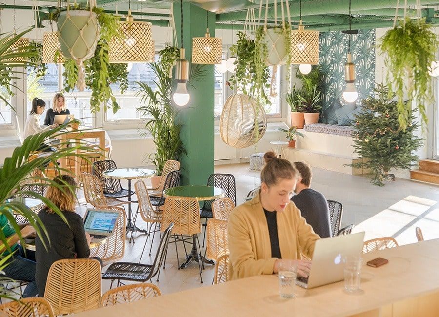 Personnes travaillant dans une espace de coworking avec de nombreuses plantes et des touches de bois