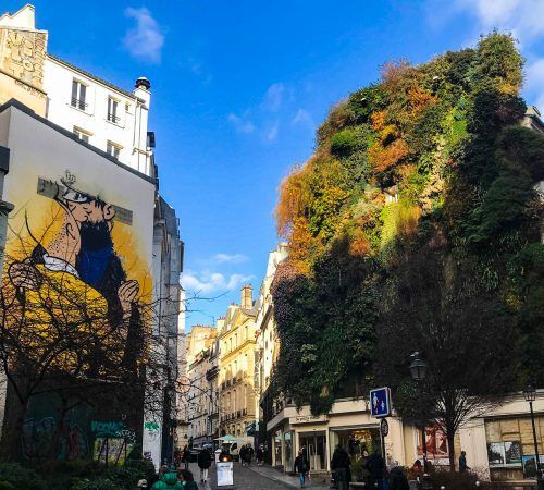 Entrée de rue, du côté droit un bâtiment avec une oeuvre de street-art, à gauche un grand arbre et des magasins