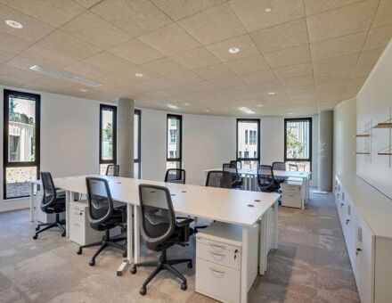 Bureaux du 115 Rue Sans Souci Limonest