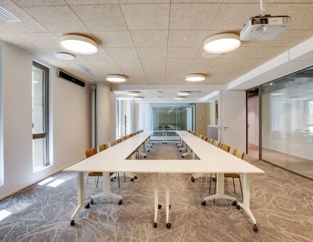 Bureaux du 115 Rue Sans Souci Limonest