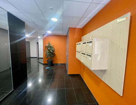 Bureaux du 115 Rue saint jacques Marseille