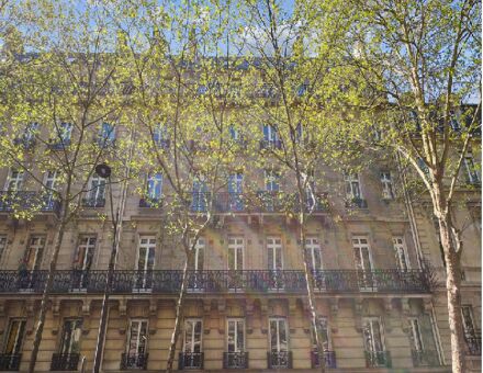 Bureaux du 5 Avenue de Messine Paris