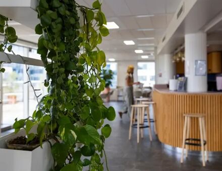 Bureaux du 24 Rue du Gouverneur Général Eboué Issy-les-Moulineaux