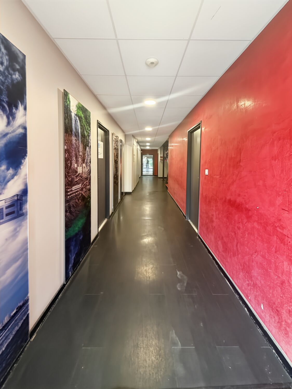 Image des bureaux au 113 Rue Raymond Recouly, Montpellier - Bureaux à vendre