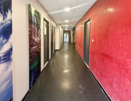 Bureaux du 113 Rue Raymond Recouly Montpellier