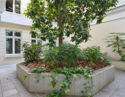 Bureaux du 42 Rue de Bassano Paris