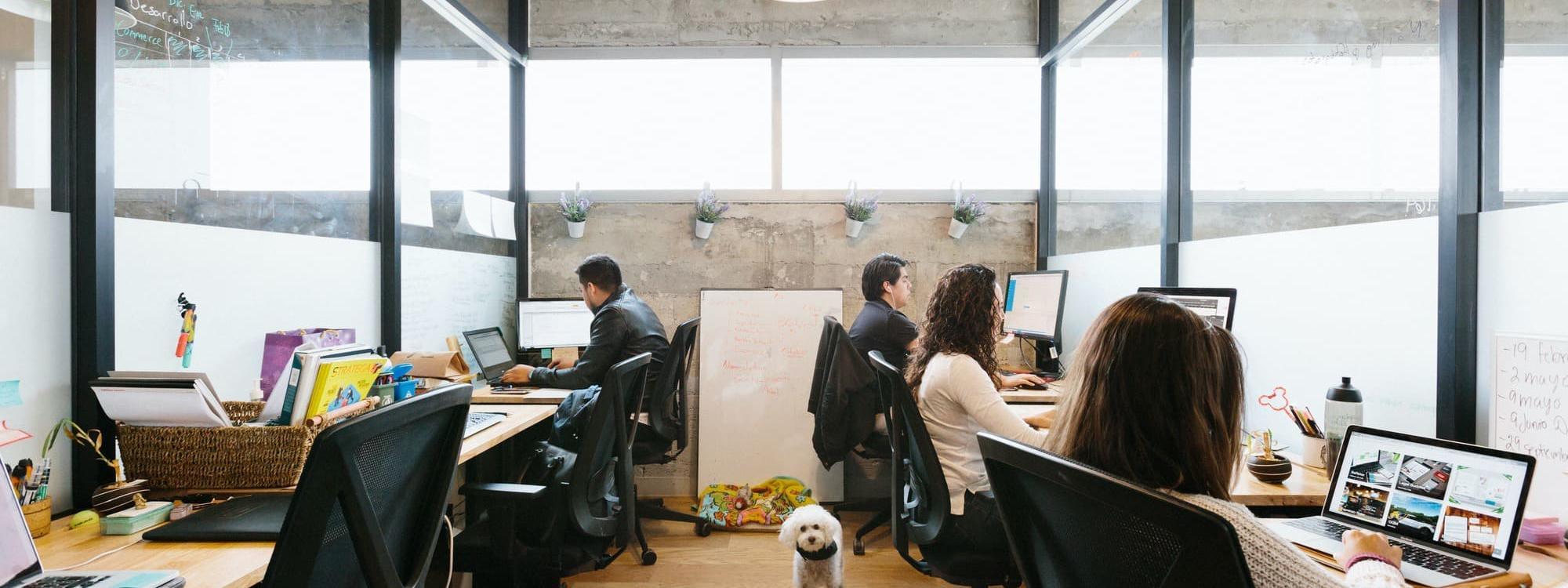 Image des bureaux au 37 Avenue Trudaine, Paris 9 - Bureaux à louer