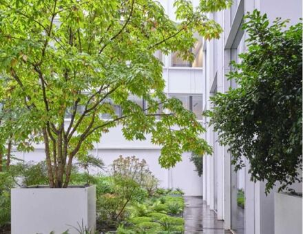 Bureaux du 6 Rue Ménars Paris