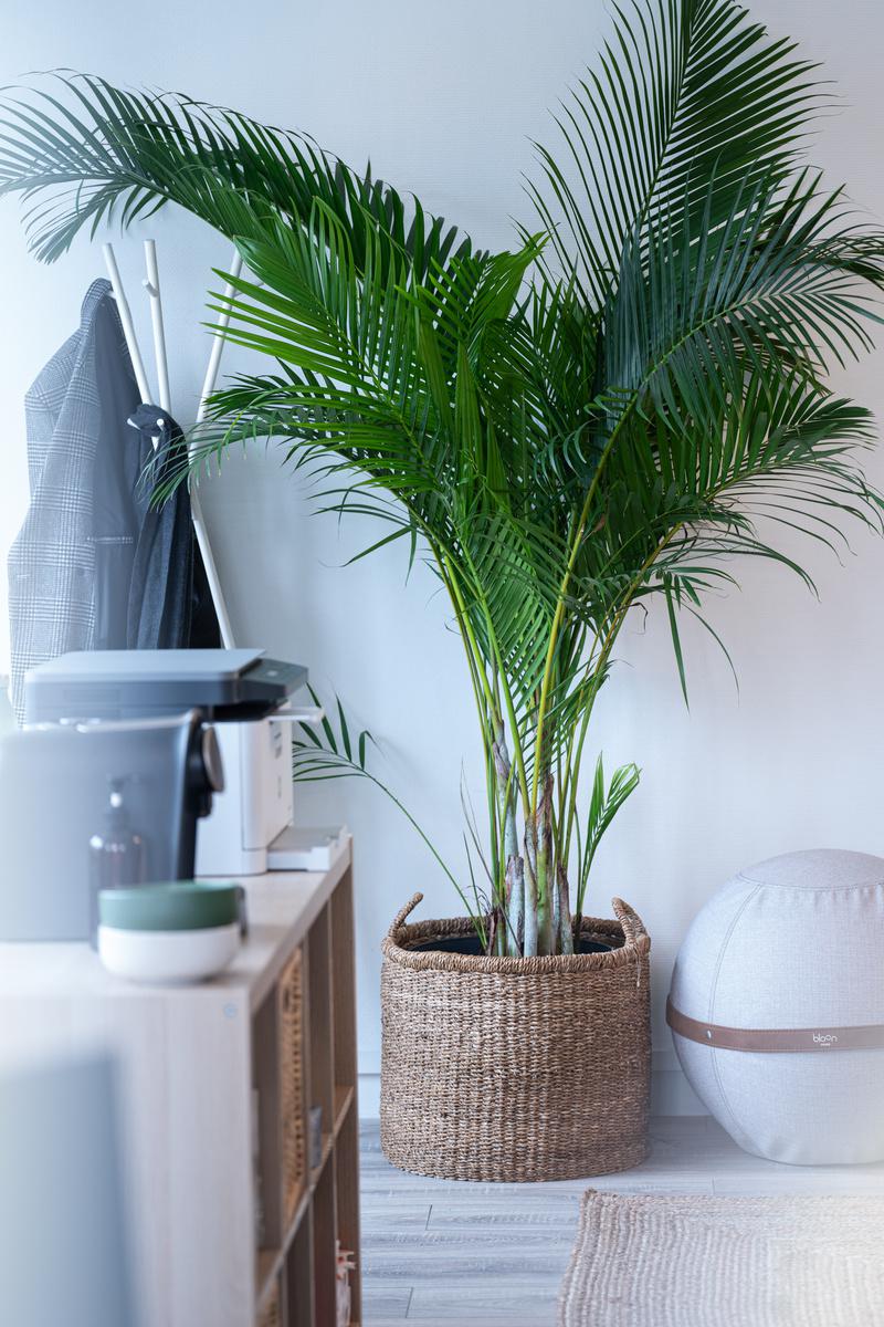Image des bureaux au 71 Rue du Faubourg Saint-Martin, Paris 10  - Bureaux à louer