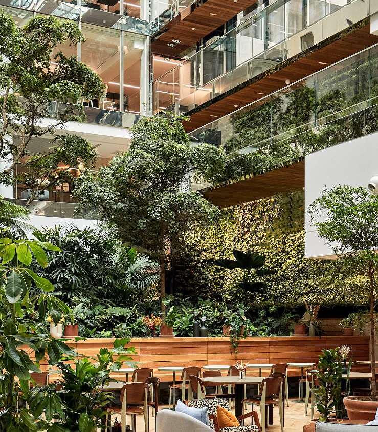 Image des bureaux au 34 Rue Laffitte, Paris 9 - Bureaux à louer