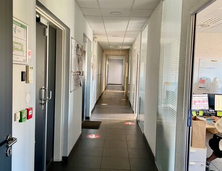 Bureaux du 15 Rue docteur zamenhof Marseille