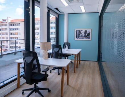 Bureaux du 193 Cours Lafayette Lyon