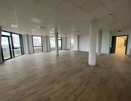 Bureaux du 1246 Avenue Raymond Dugrand Montpellier