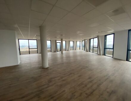 Bureaux du 1246 Avenue Raymond Dugrand Montpellier