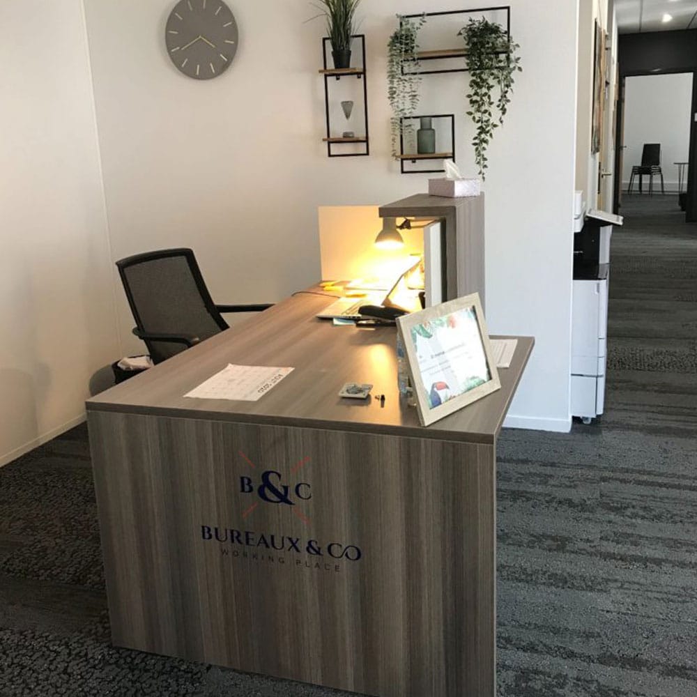 Image des bureaux au 48 Allées Forain François Verdier, Toulouse  - Bureaux à louer