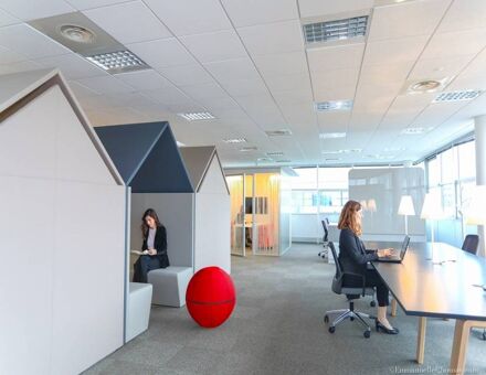 Bureaux du 5 Rue du Professeur Pierre Vellas Toulouse