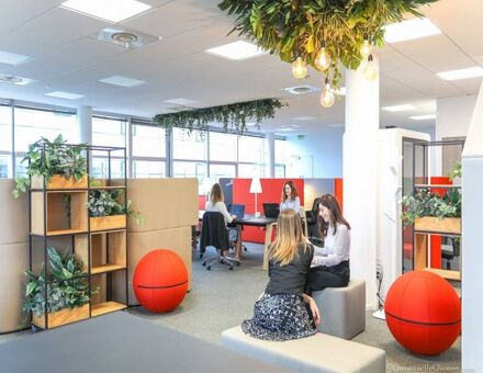 Bureaux du 5 Rue du Professeur Pierre Vellas Toulouse